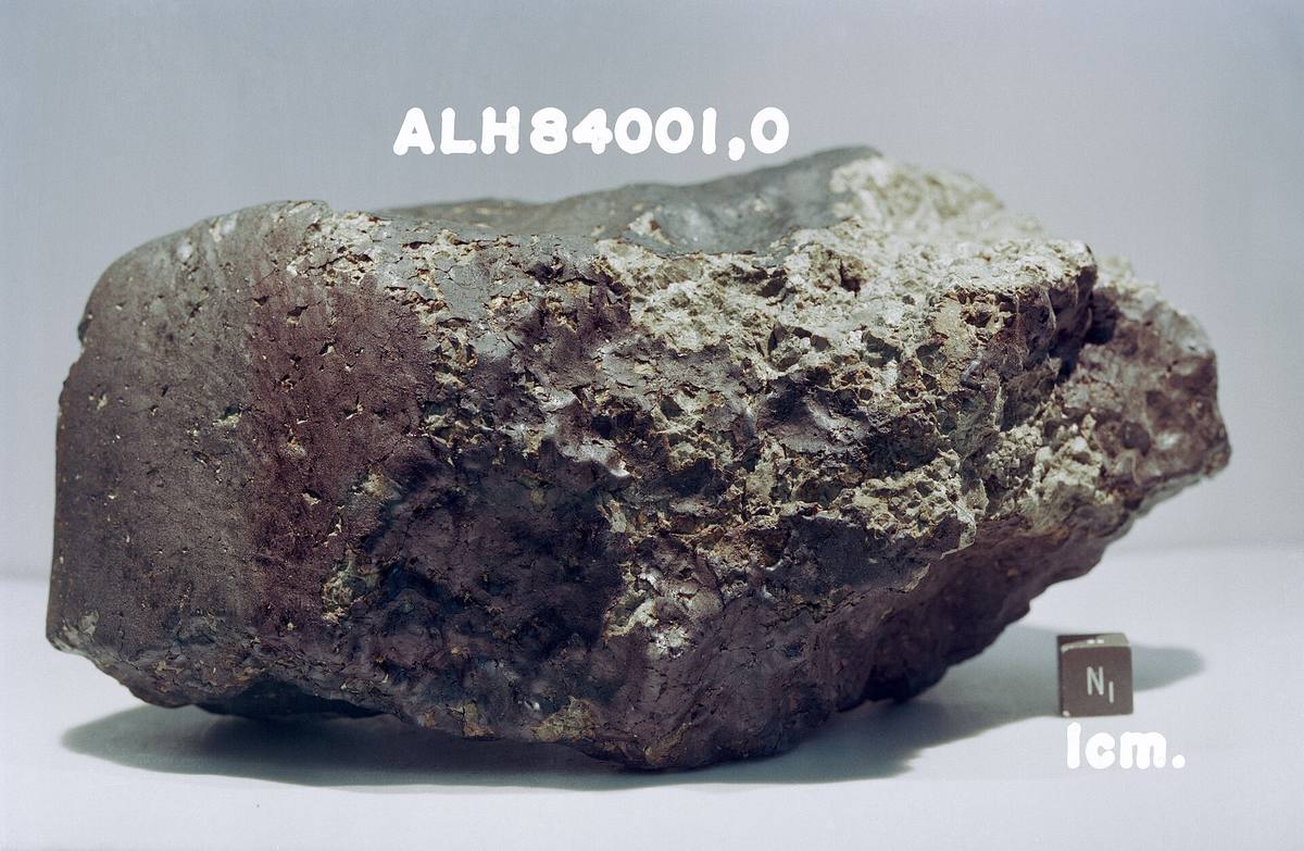 Tmavě šedozelený kus meteoritu ALH84001 s nápisem a krychlovým měřítkem o hraně jeden centimetr