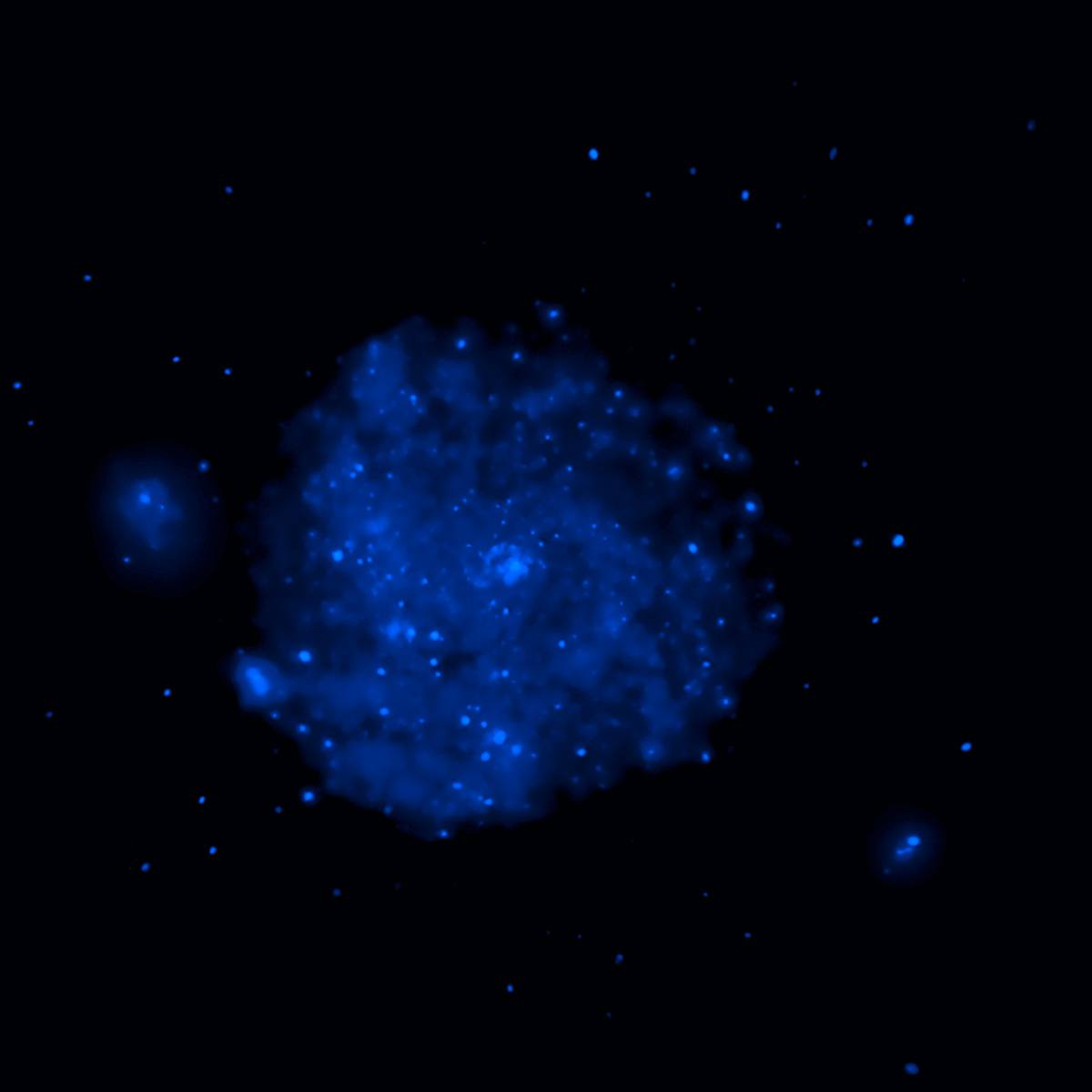Galaxie M101 v rentgenovém oboru, modré bodové zdroje na černém pozadí